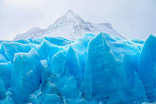 Cold Plunge vs. Cryotherapy: Which Cold Therapy is Right for You?