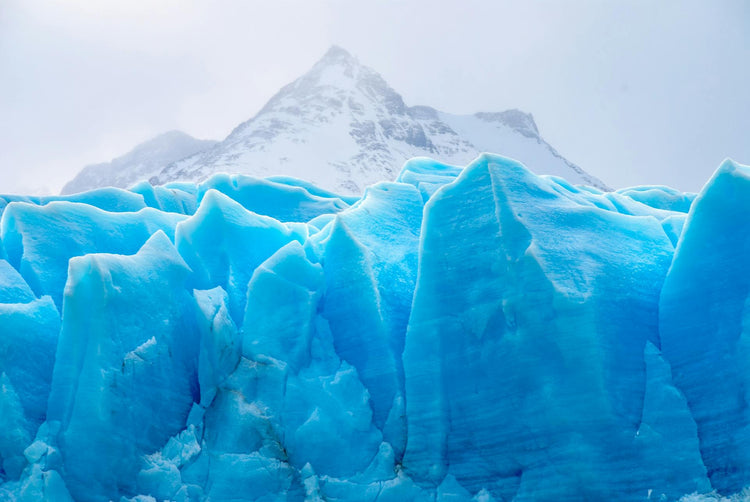 Cold Plunge vs. Cryotherapy: Which Cold Therapy is Right for You?